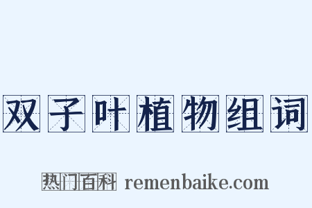 双子叶植物组词是什么意思的图片